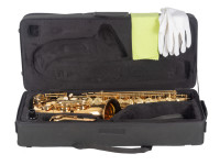 J. Michael SAX ALTO AL-500 J. Michael SAX ALTO AL-500